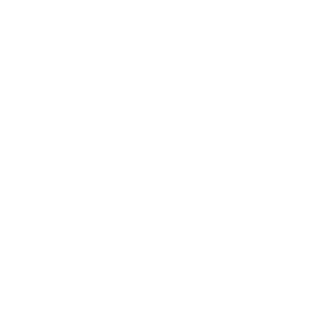 Smartphone View
